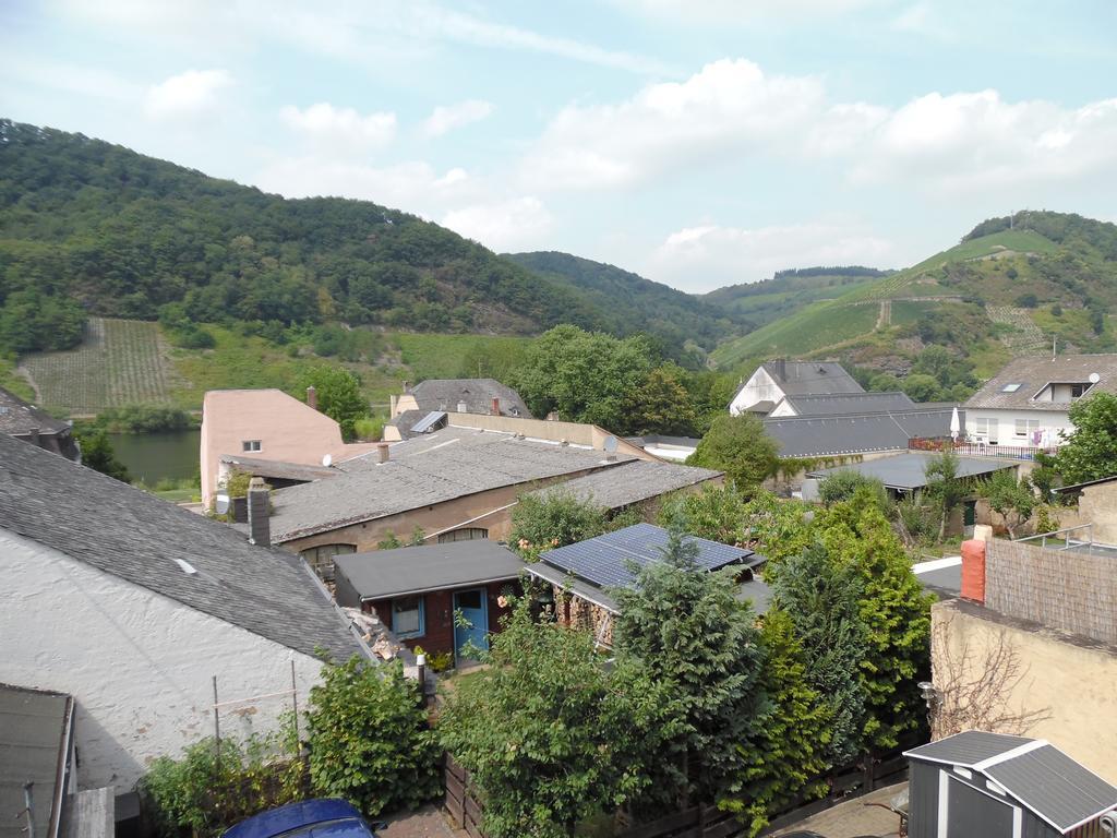 Ferienwohnung In Vino Veritas Neumagen-Dhron Esterno foto