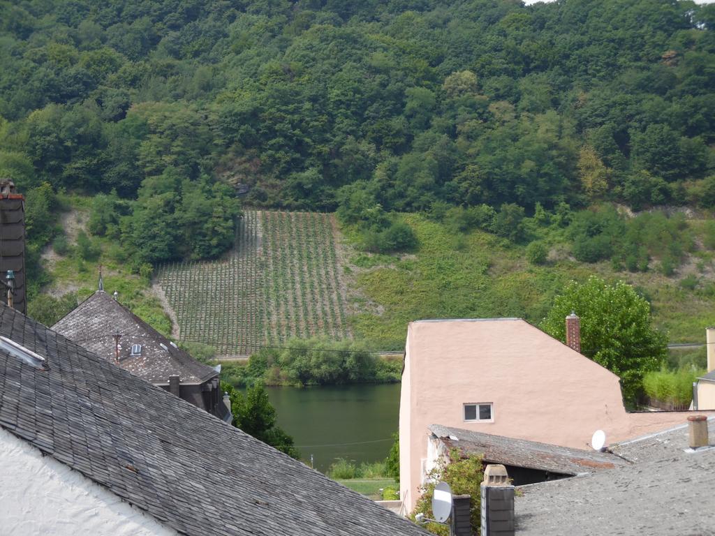 Ferienwohnung In Vino Veritas Neumagen-Dhron Esterno foto